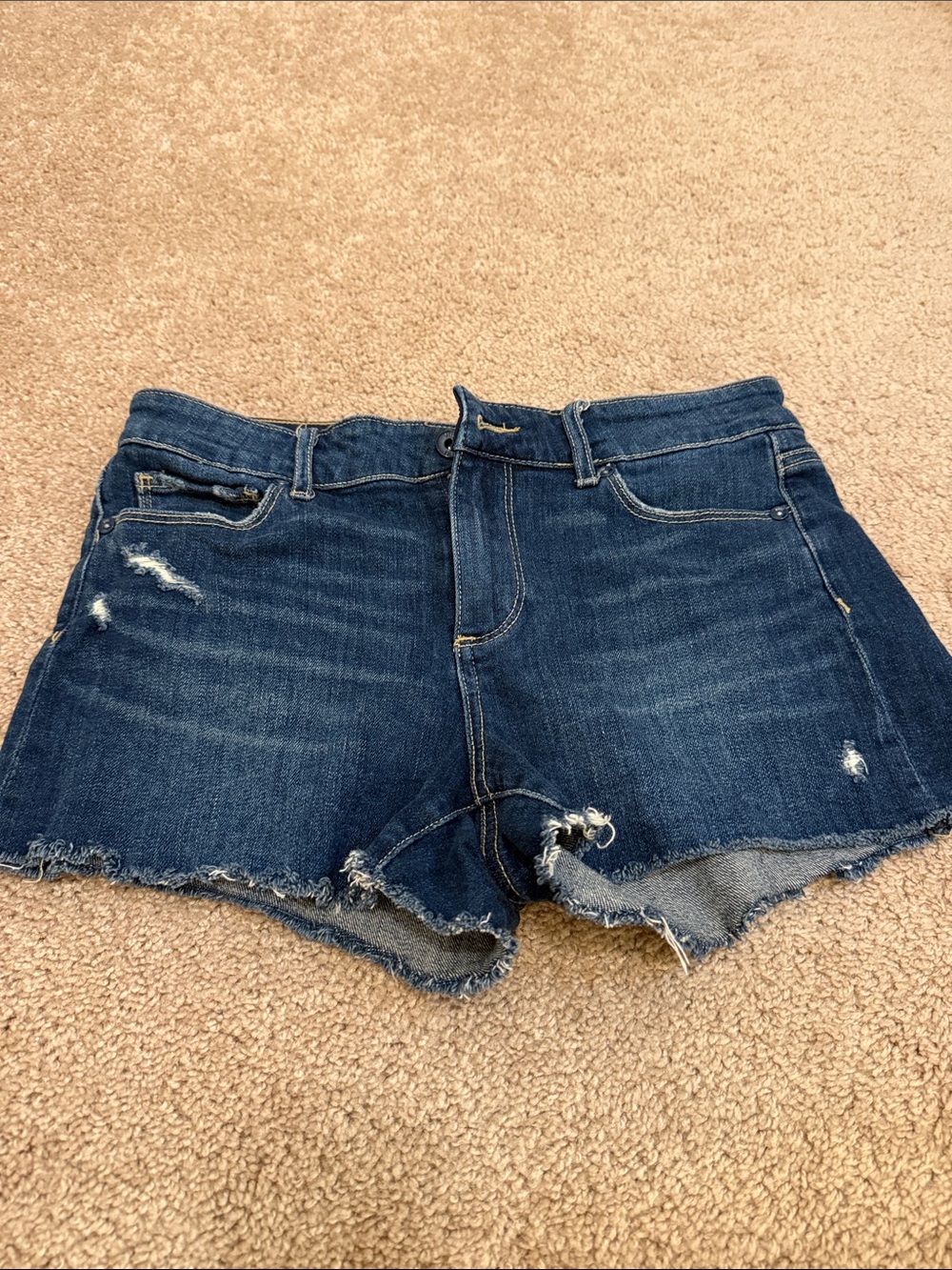 Paige Shorts